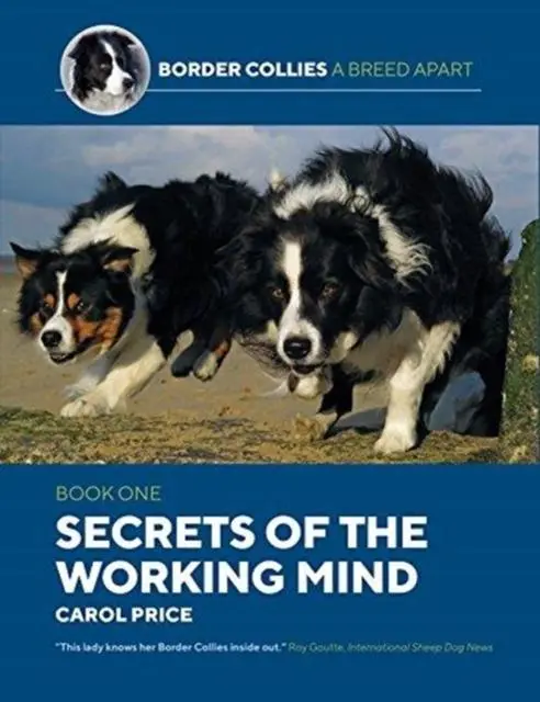 Cover: 9781910488461 | Secrets Of The Working Mind | Carol Price | Taschenbuch | Englisch