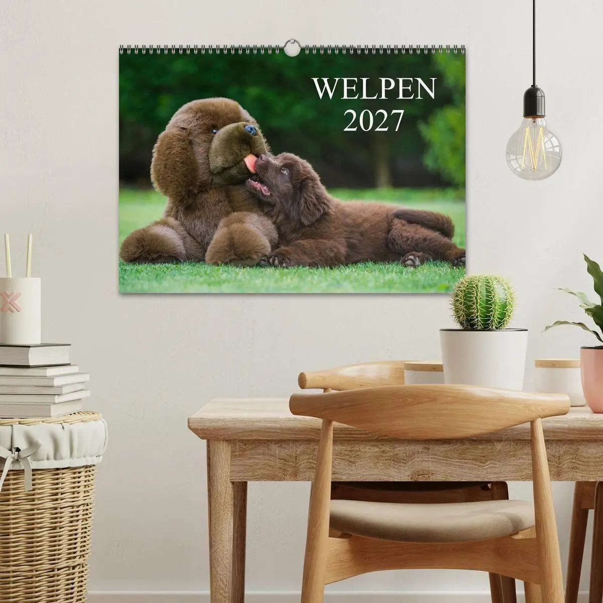 Bild: 9783594178461 | Welpen 2027 (Wandkalender 2027 DIN A3 quer), CALVENDO Monatskalender