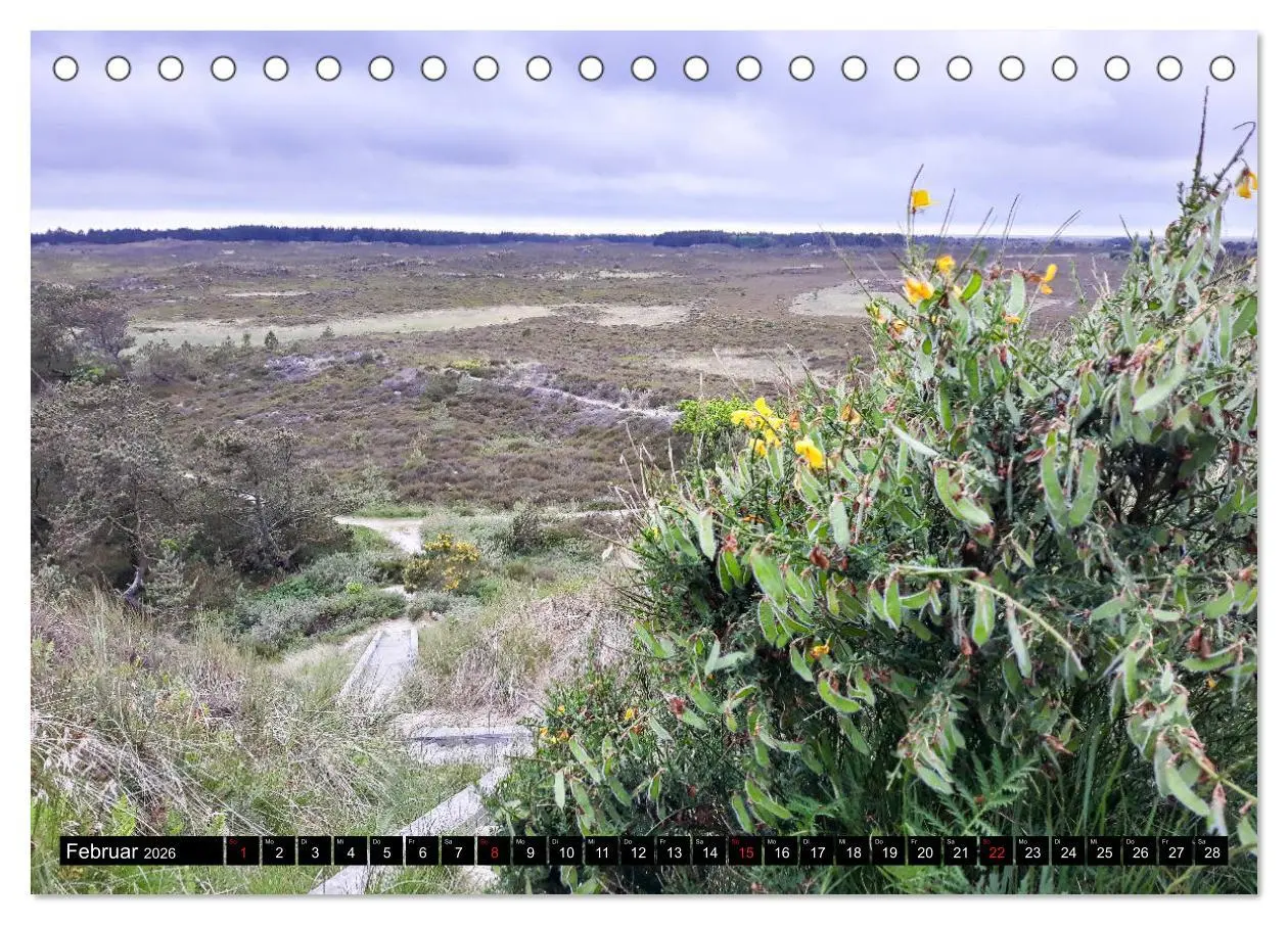 Bild: 9783457788561 | Urlaub auf Römö (Tischkalender 2026 DIN A5 quer), CALVENDO...