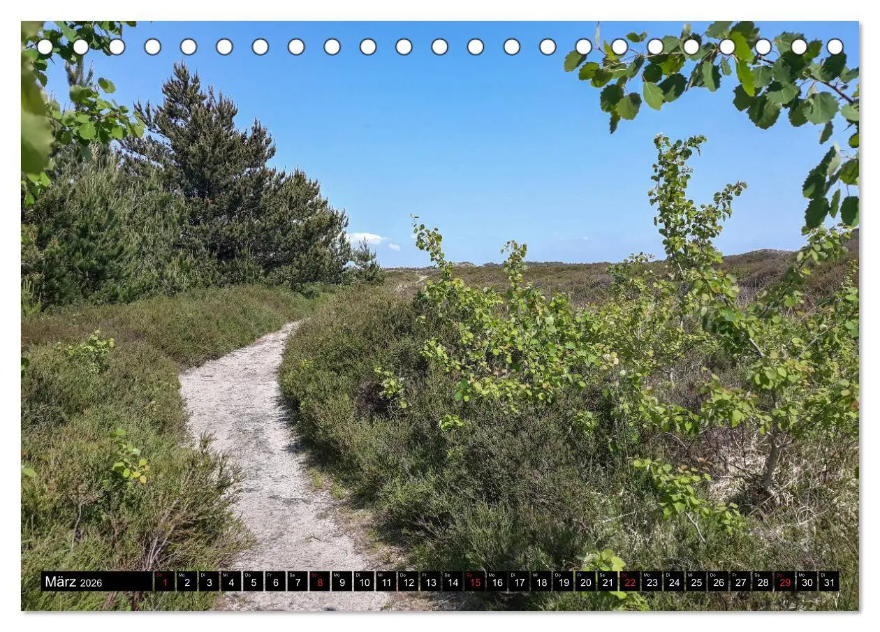 Bild: 9783457788561 | Urlaub auf Römö (Tischkalender 2026 DIN A5 quer), CALVENDO...