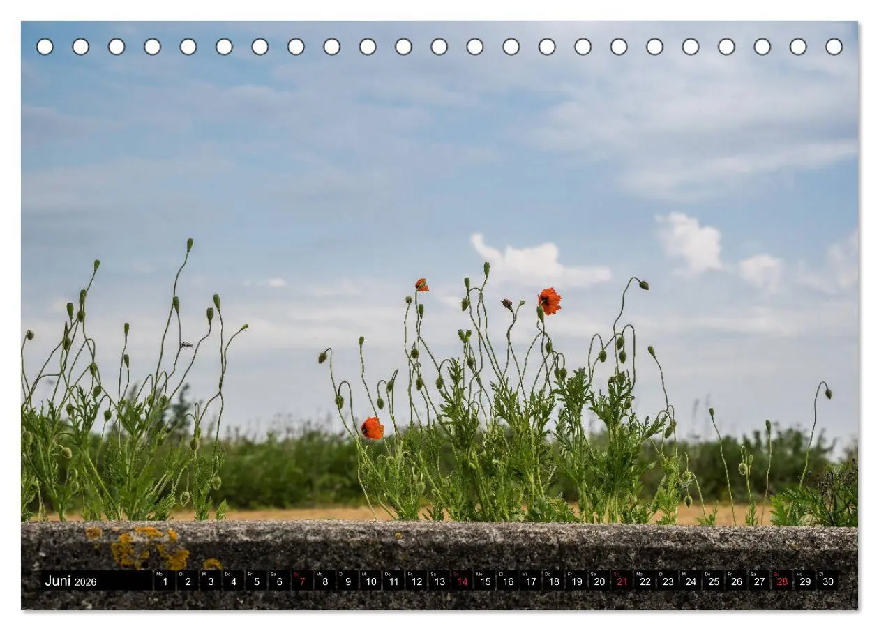 Bild: 9783457788561 | Urlaub auf Römö (Tischkalender 2026 DIN A5 quer), CALVENDO...