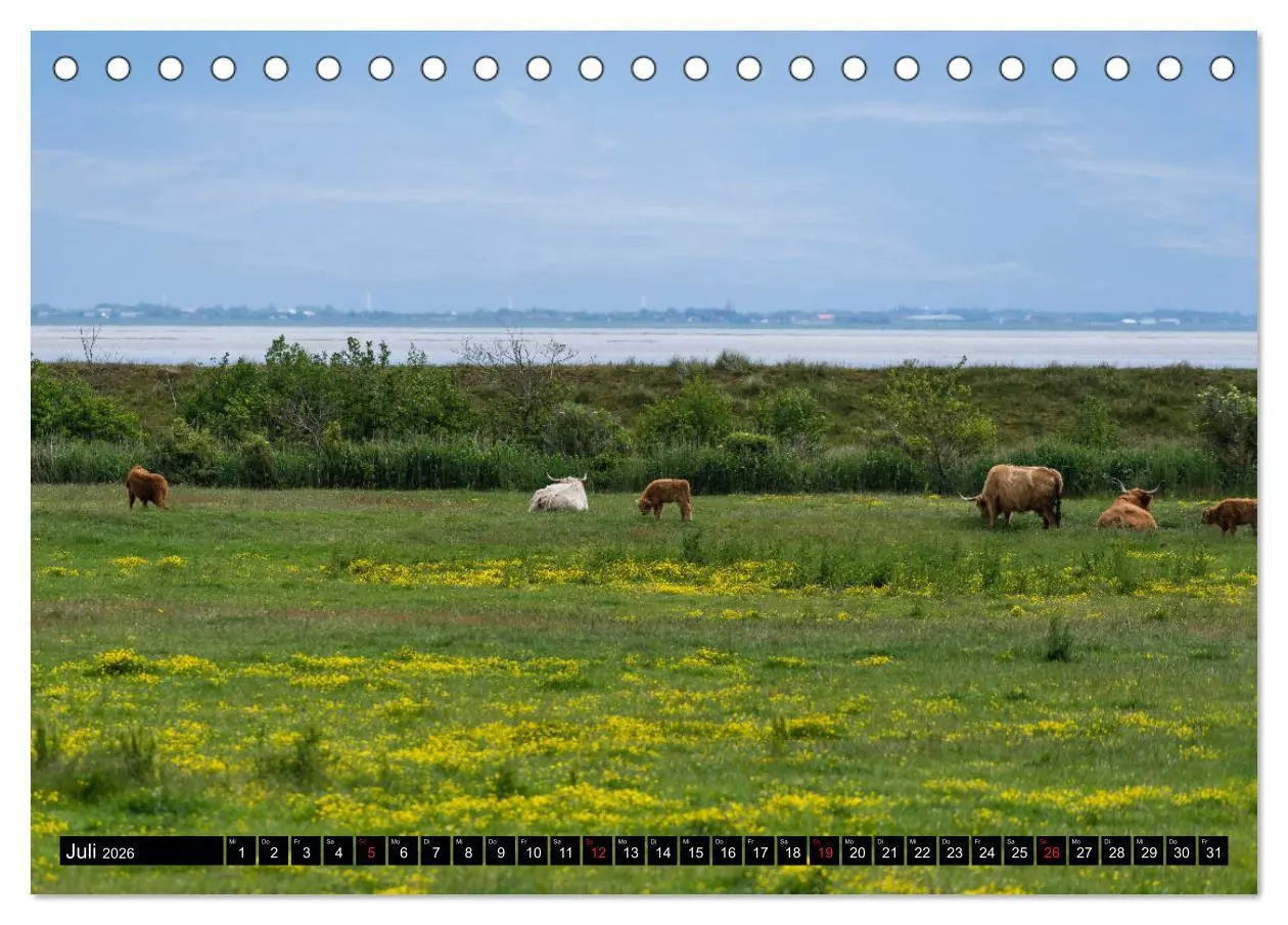 Bild: 9783457788561 | Urlaub auf Römö (Tischkalender 2026 DIN A5 quer), CALVENDO...