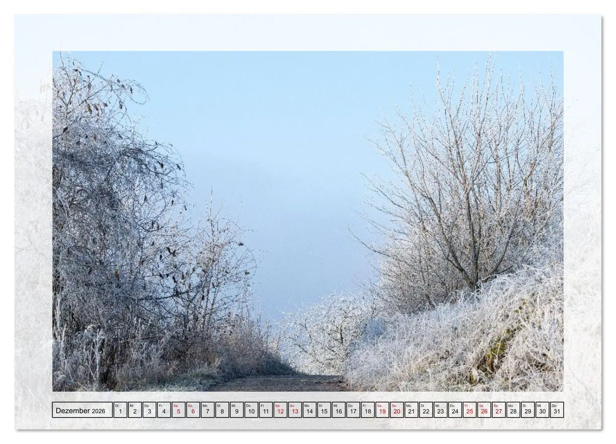 Bild: 9783516638561 | Jeden Monat in der Natur (Wandkalender 2026 DIN A2 quer), CALVENDO...