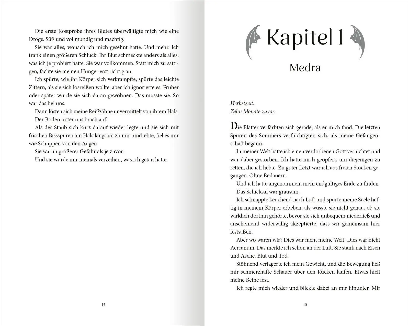 Bild: 9783845868561 | On Wings of Blood (Bloodwing Academy 1) | Briar Boleyn | Buch | 704 S.