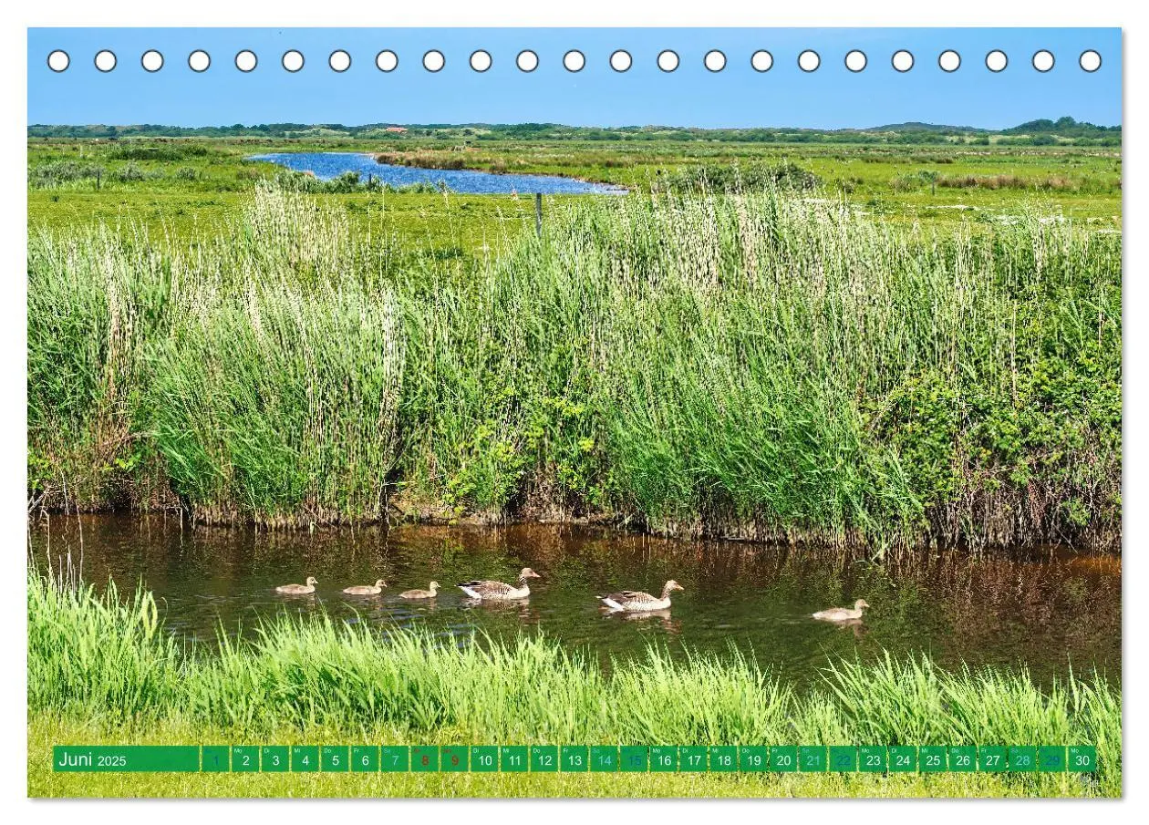 Bild: 9783457158661 | Borkum Ansichten (Tischkalender 2025 DIN A5 quer), CALVENDO...