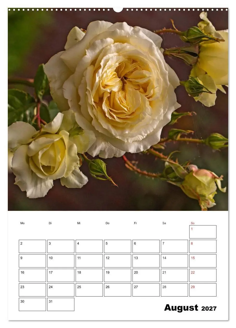 Bild: 9783569958661 | Zauberhafte Rosen (Wandkalender 2027 DIN A2 hoch), CALVENDO...