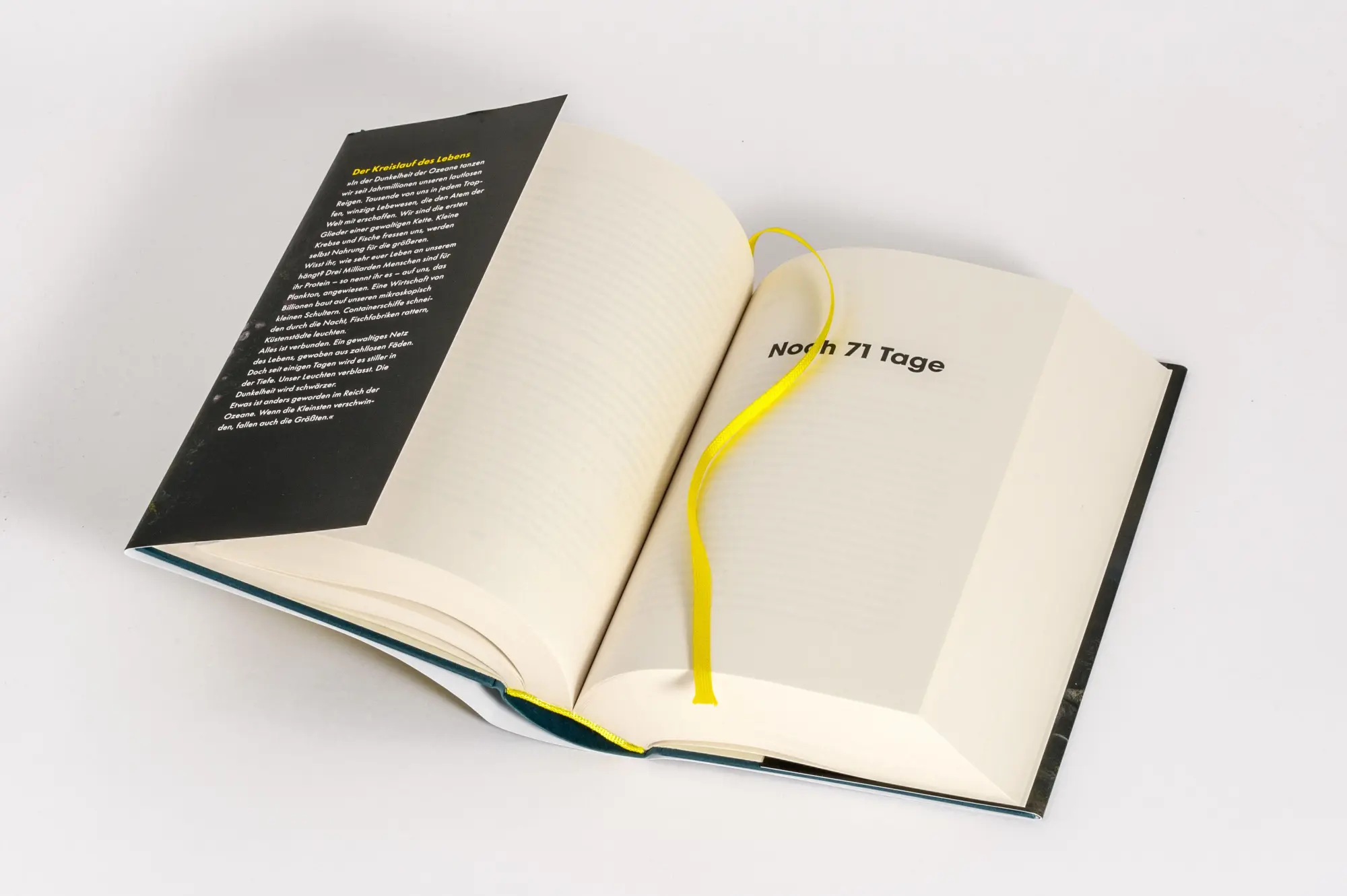 Bild: 9783764508661 | EDEN - Wenn das Sterben beginnt | Marc Elsberg | Buch | 768 S. | 2026