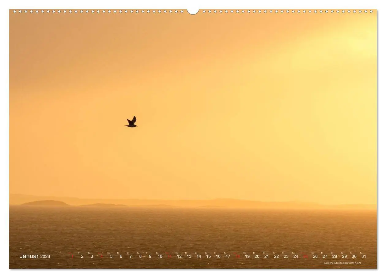 Bild: 9783516238761 | Hurtigruten im Winter - Hunting the light (Wandkalender 2026 DIN A2...