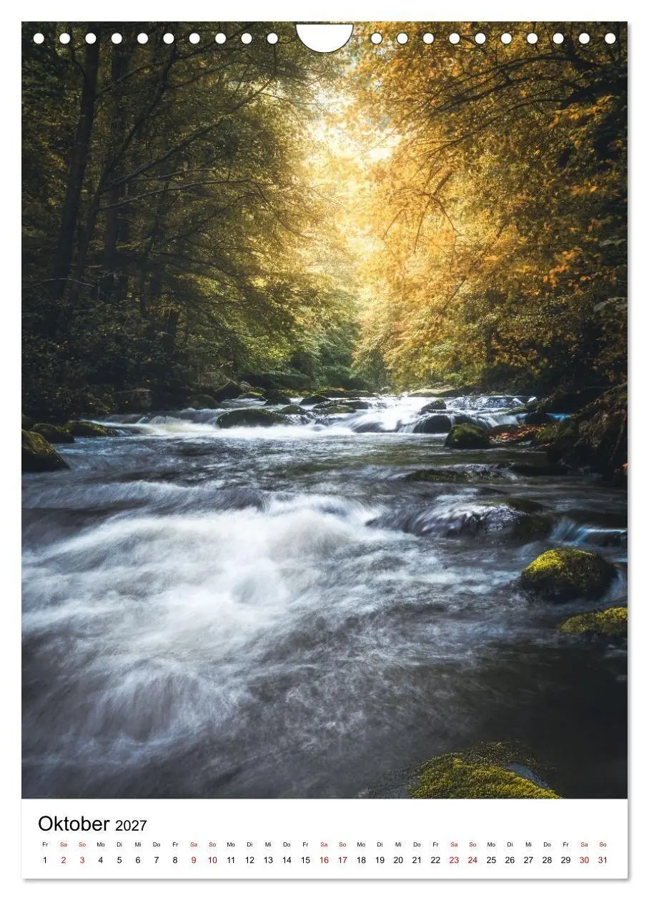 Bild: 9783516858761 | Mystischer Harz - Zwischen Licht und Schatten (Wandkalender 2027...