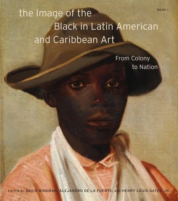Cover: 9780674248861 | The Image of the Black in Latin American and Caribbean Art | Buch