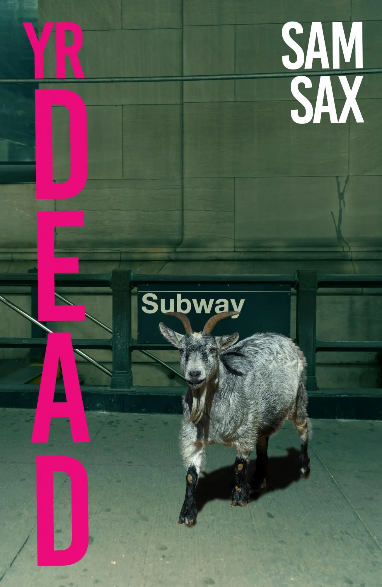 Cover: 9781914198861 | Yr Dead | Sam Sax | Taschenbuch | 270 S. | Englisch | 2024