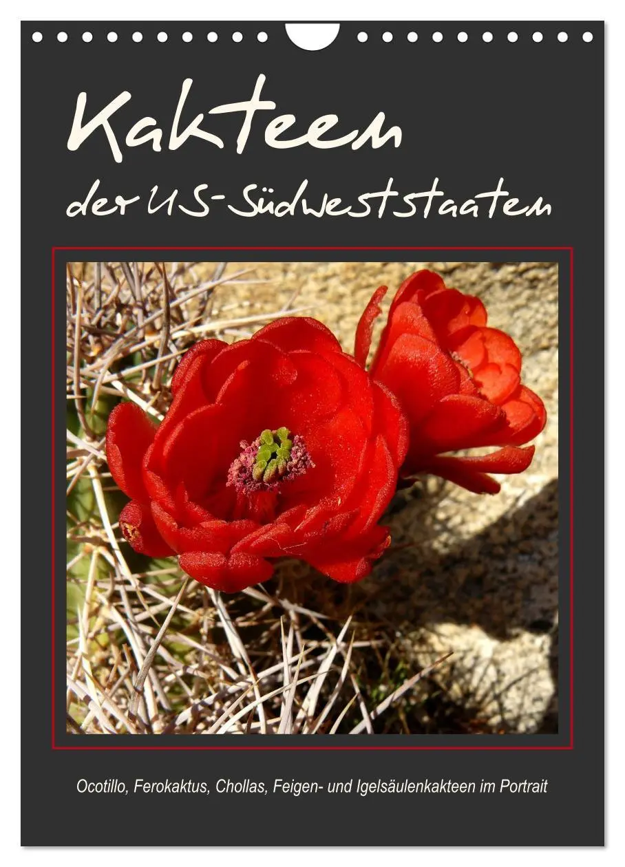 Cover: 9783516468861 | Kakteen der US-Südweststaaten (Wandkalender 2026 DIN A4 hoch),...