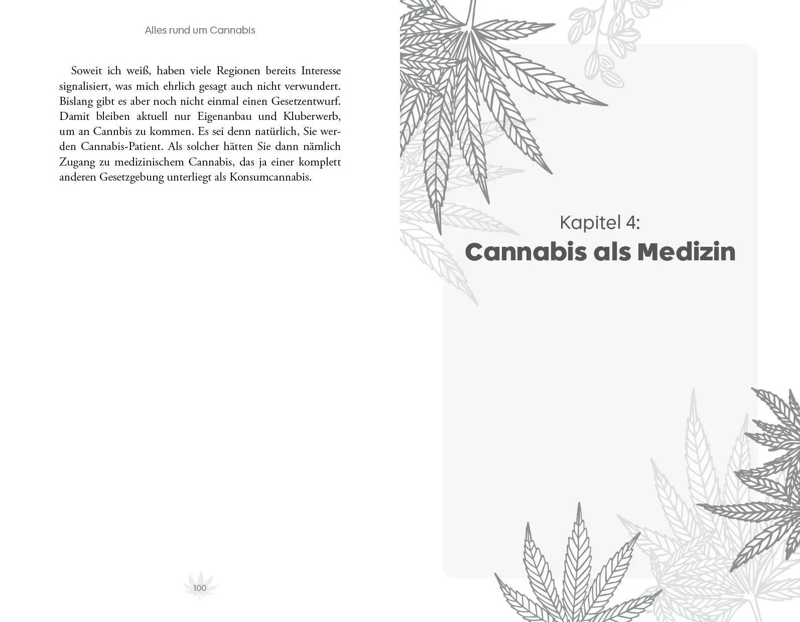 Bild: 9783742328861 | Alles rund um Cannabis | Adrian Fischer | Taschenbuch | 192 S. | 2025