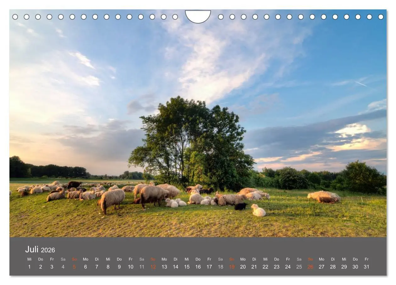 Bild: 9783516078961 | Leipzig - Parks und Landschaften (Wandkalender 2026 DIN A4 quer),...