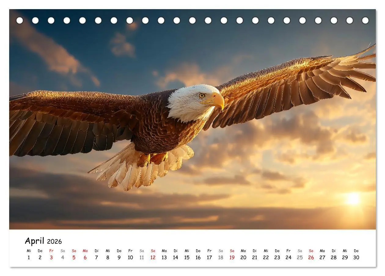 Bild: 9783516698961 | Majestätische Weißkopfseeadler - Der König der Lüfte (Tischkalender...