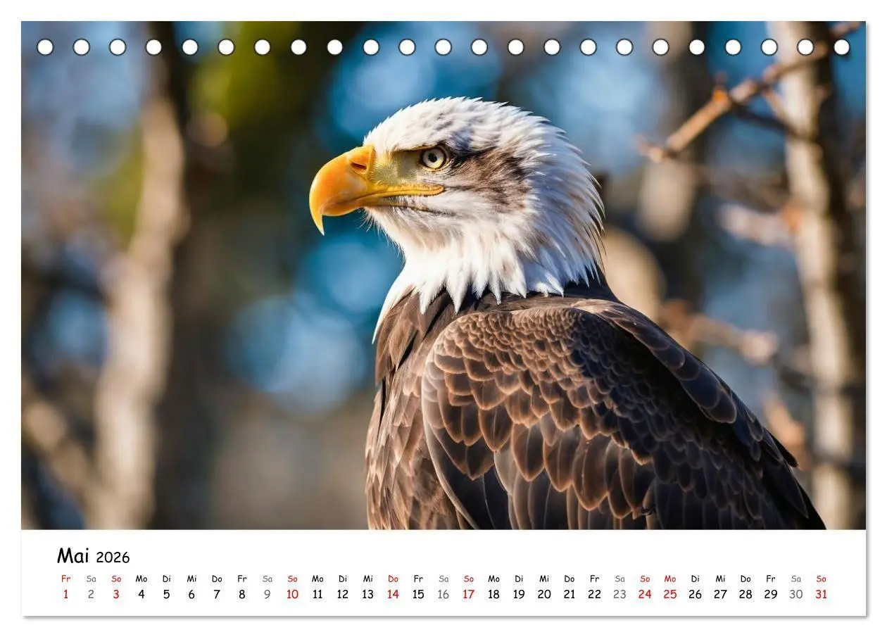 Bild: 9783516698961 | Majestätische Weißkopfseeadler - Der König der Lüfte (Tischkalender...