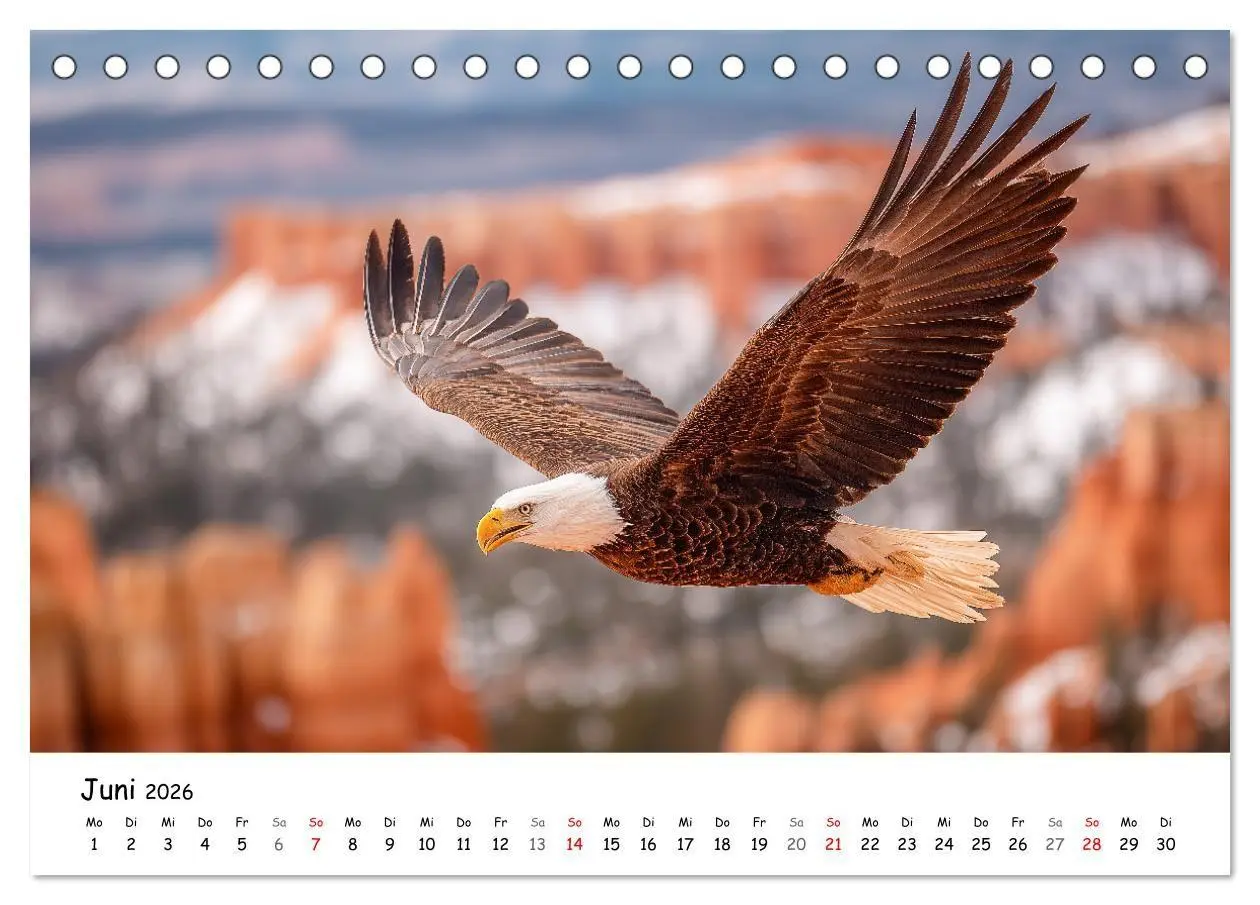 Bild: 9783516698961 | Majestätische Weißkopfseeadler - Der König der Lüfte (Tischkalender...