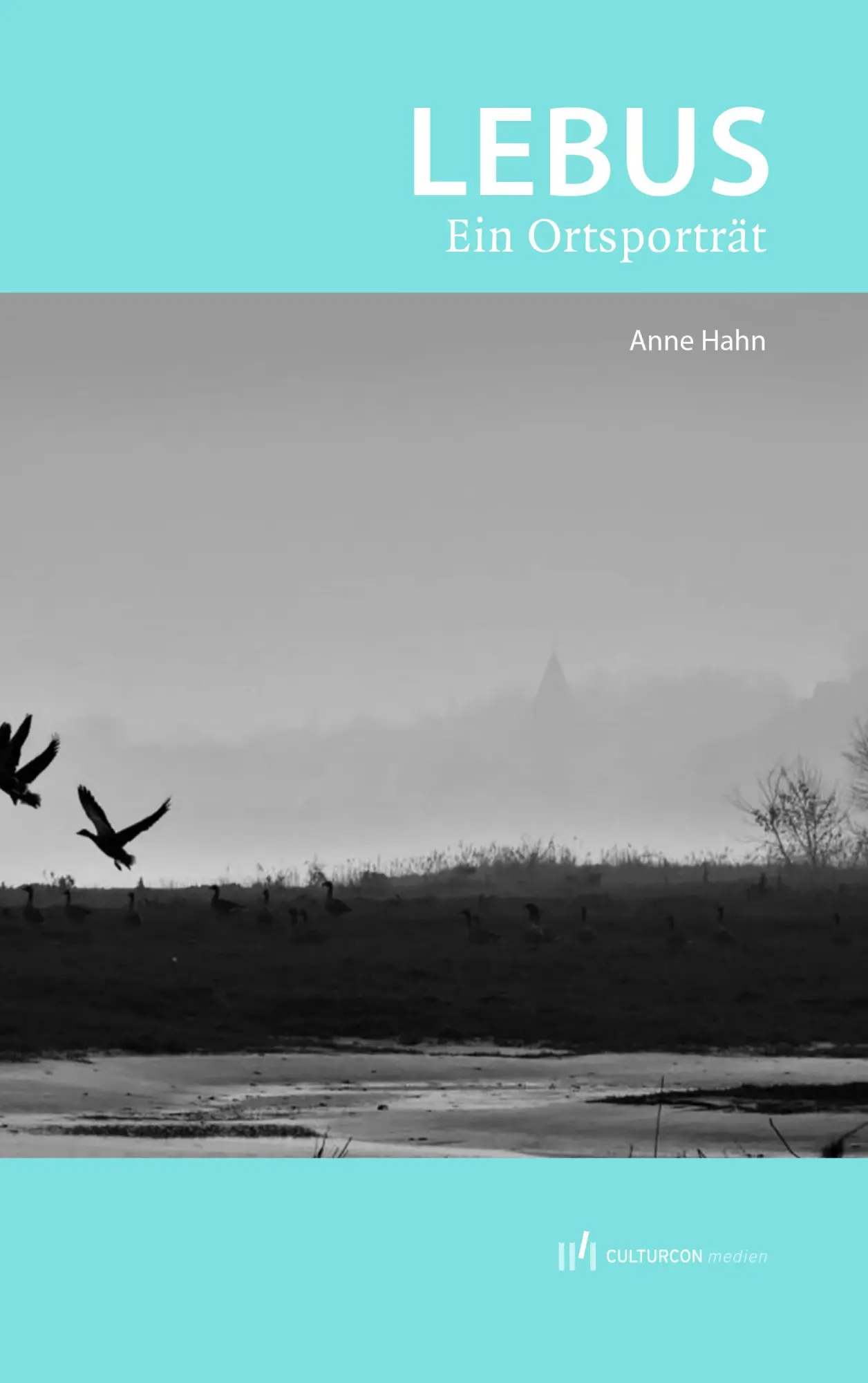 Cover: 9783944068961 | Lebus - Ein Ortsporträt | Anne Hahn | Taschenbuch | 168 S. | Deutsch
