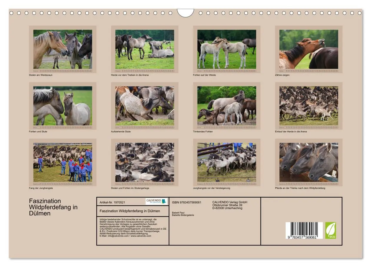Bild: 9783457569061 | Faszination Wildpferdefang in Dülmen (Wandkalender 2026 DIN A3...