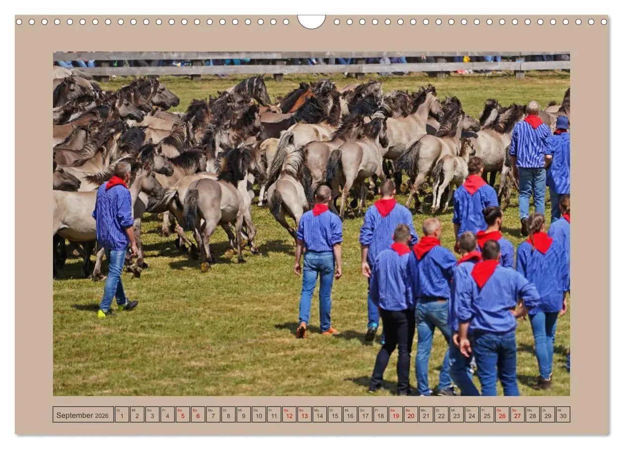 Bild: 9783457569061 | Faszination Wildpferdefang in Dülmen (Wandkalender 2026 DIN A3...
