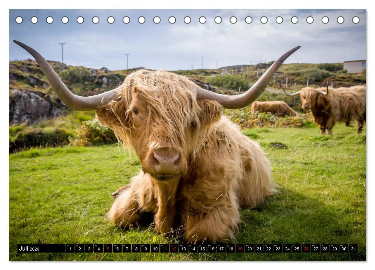 Bild: 9783457709061 | Schottland Momente (Tischkalender 2026 DIN A5 quer), CALVENDO...