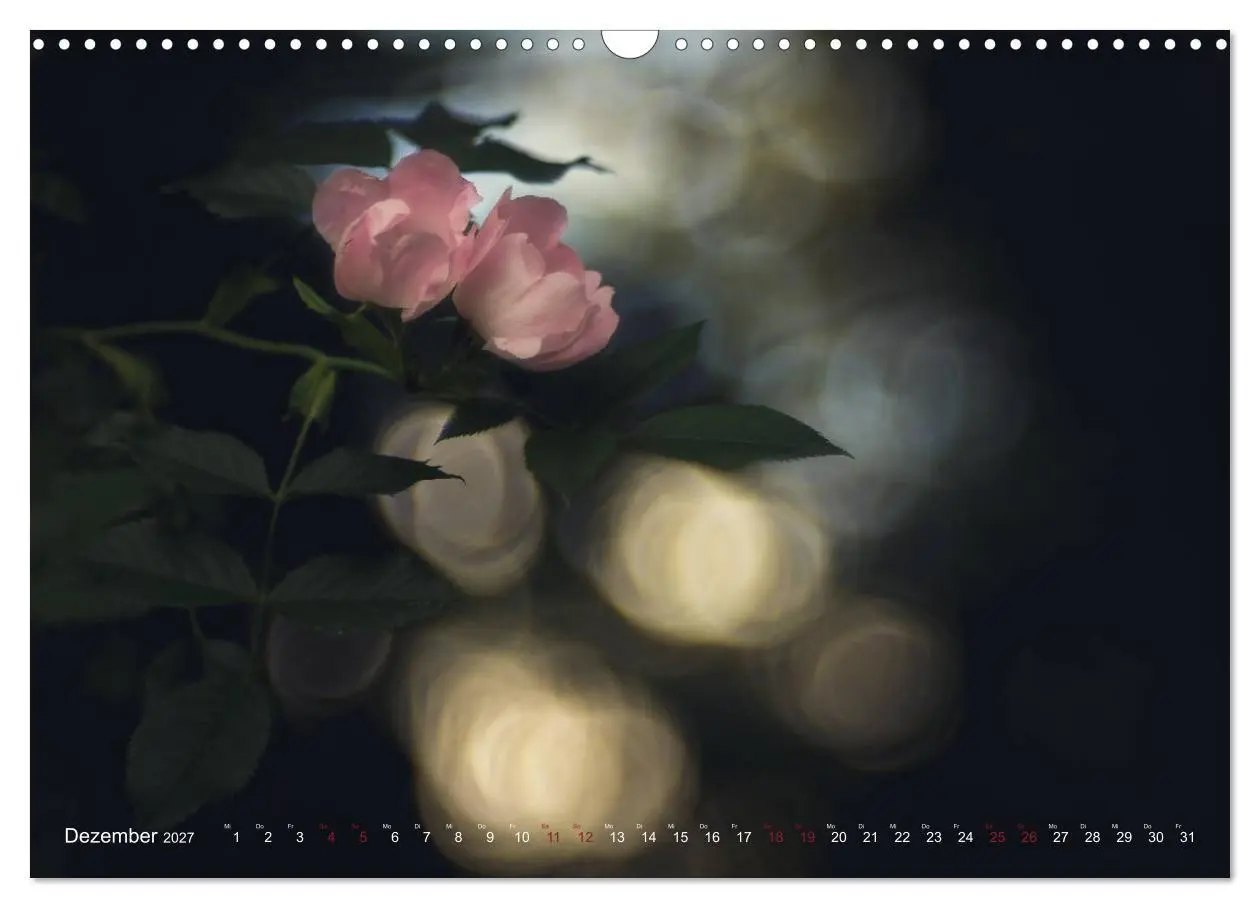 Bild: 9783569819061 | Die Welt der Alten Rosen (Wandkalender 2027 DIN A3 quer), CALVENDO...