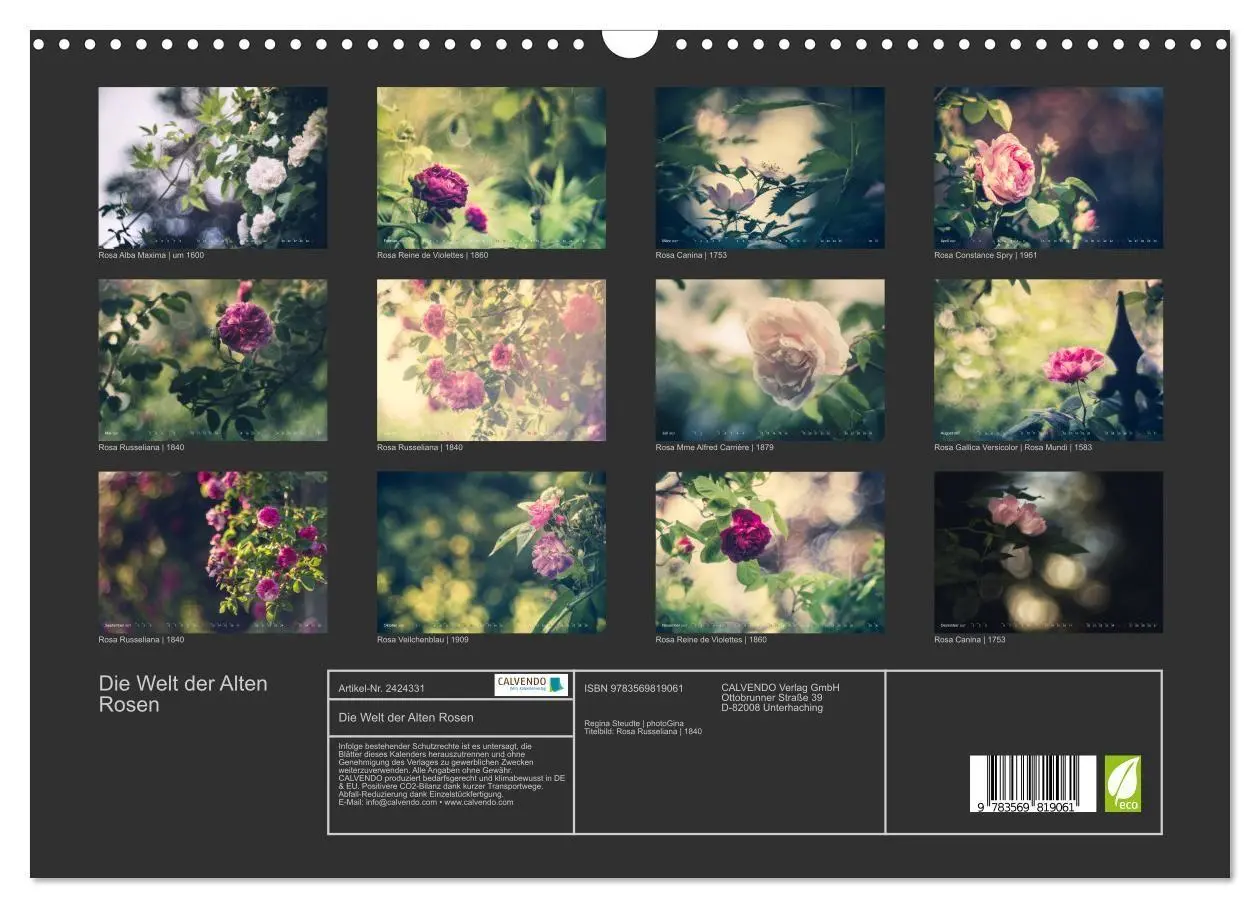 Bild: 9783569819061 | Die Welt der Alten Rosen (Wandkalender 2027 DIN A3 quer), CALVENDO...