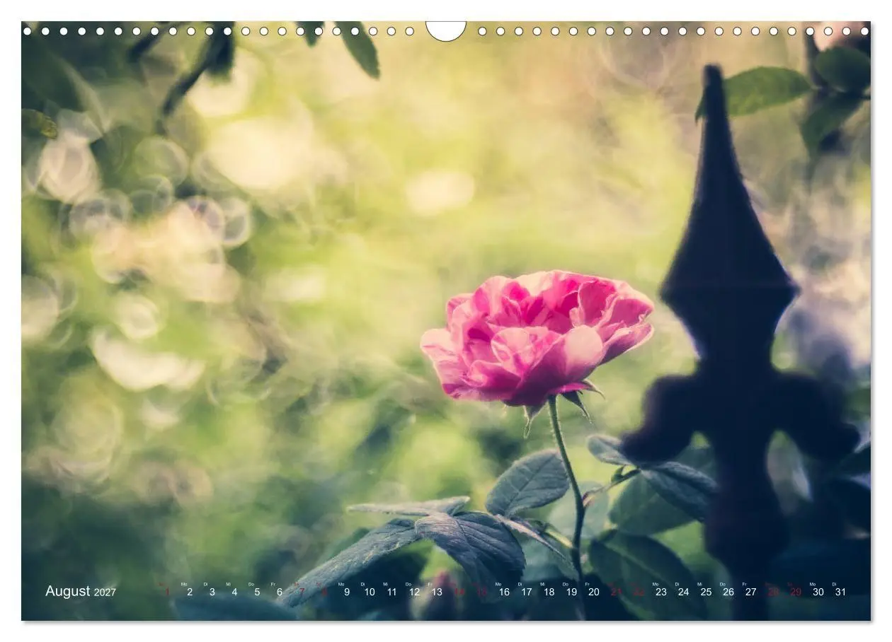 Bild: 9783569819061 | Die Welt der Alten Rosen (Wandkalender 2027 DIN A3 quer), CALVENDO...