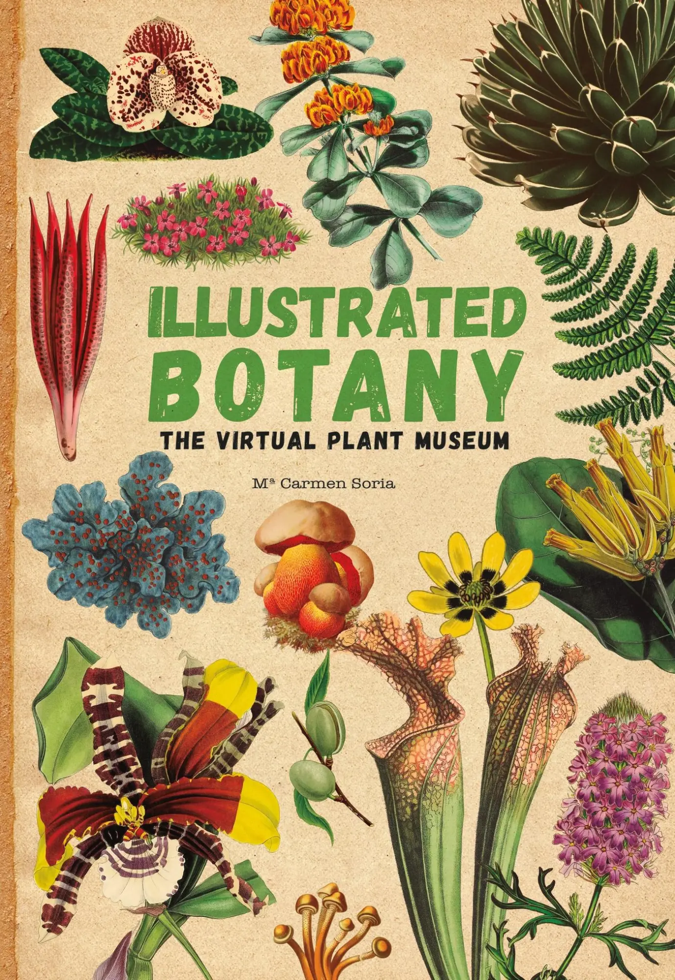 Cover: 9781914519161 | Illustrated Botany | The Virtual Plant Museum | Carmen Soria | Buch