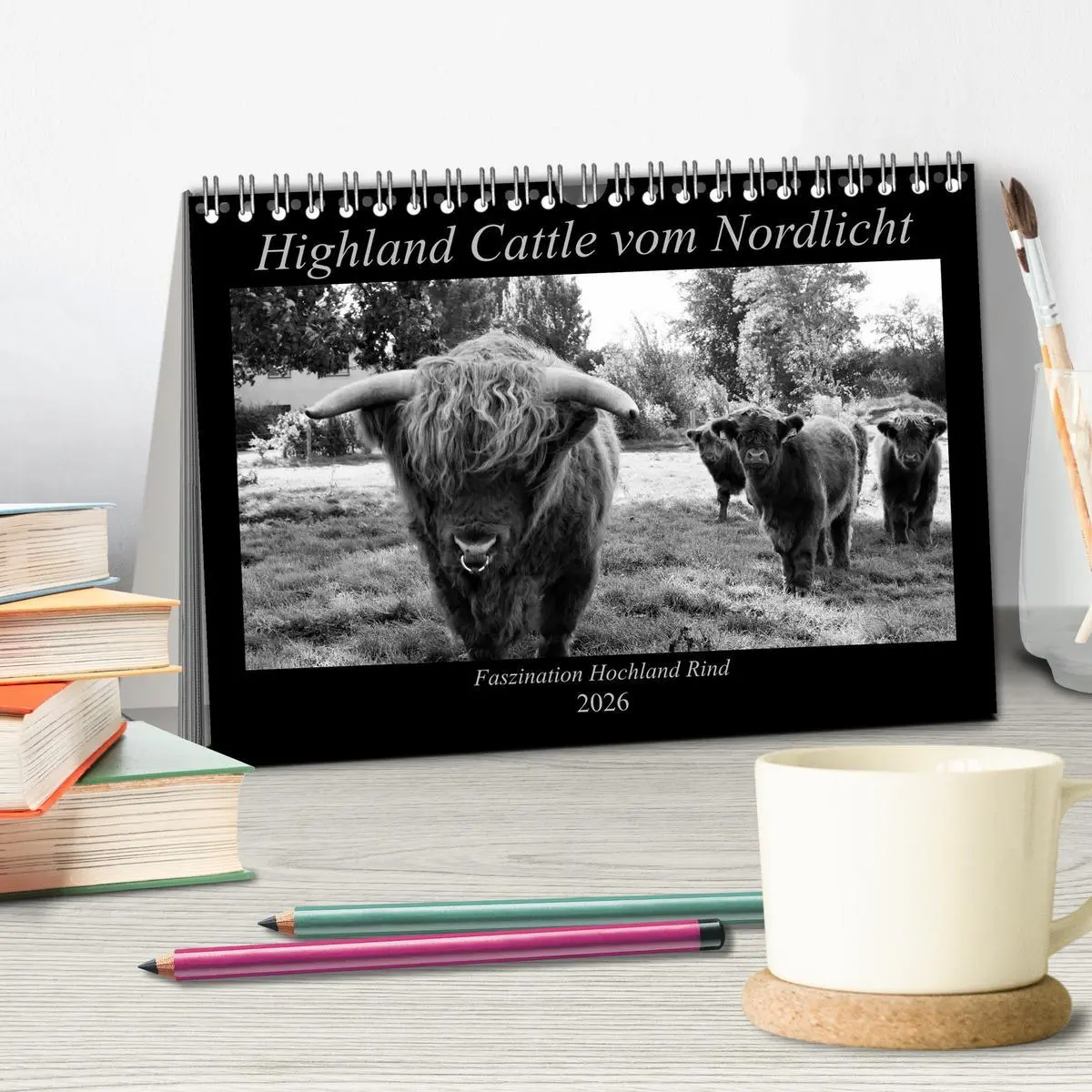 Bild: 9783457939161 | Highland Cattle vom Nordlicht - Faszination Hochland Rind...