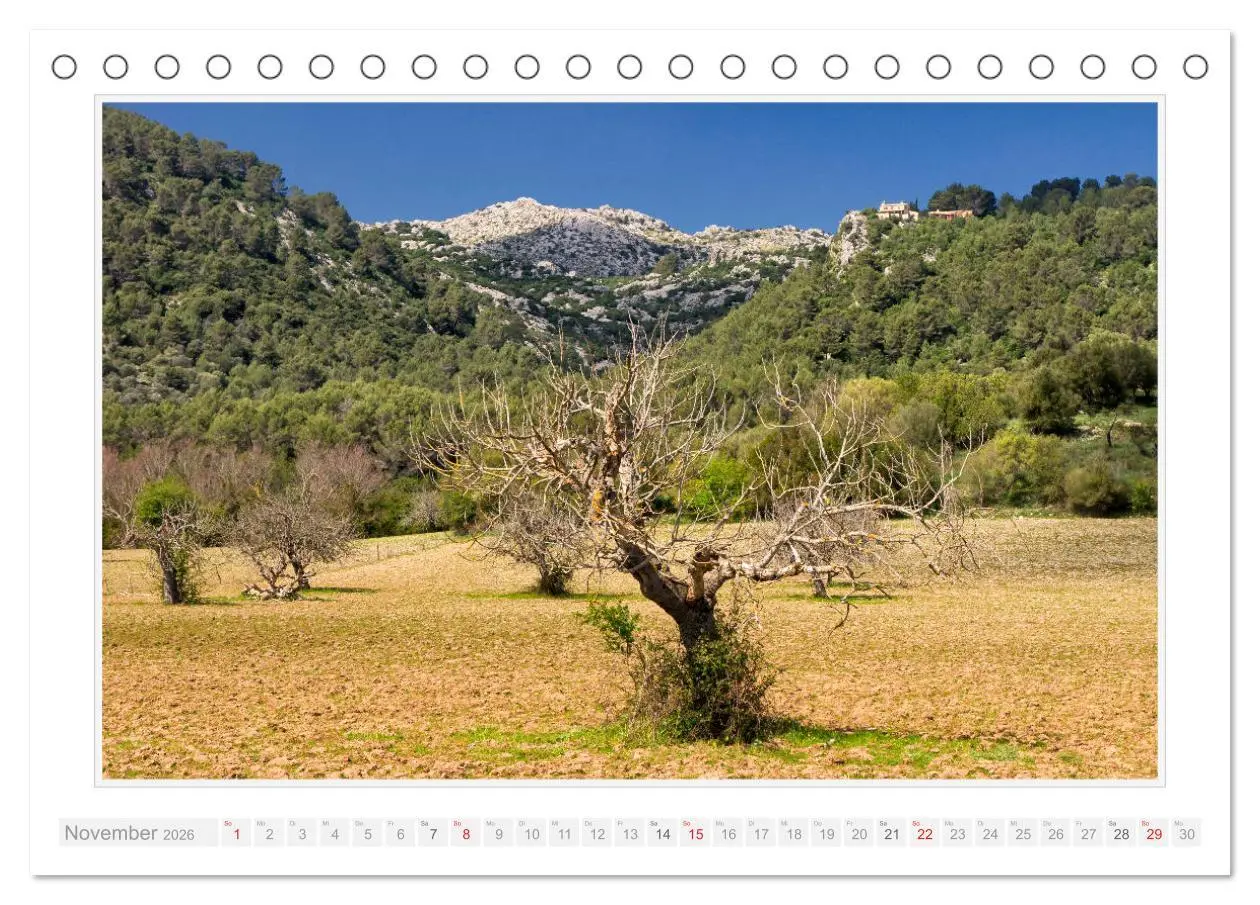Bild: 9783516199161 | Mallorca - Der Norden (Tischkalender 2026 DIN A5 quer), CALVENDO...