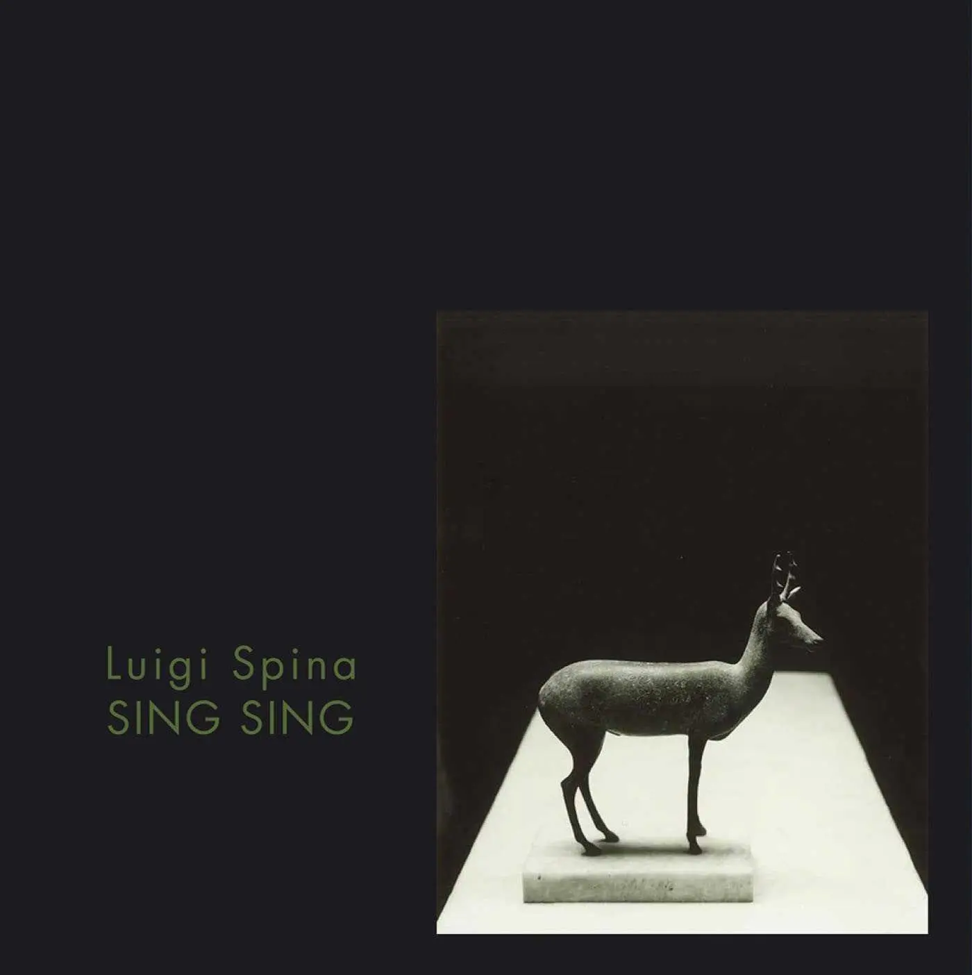 Cover: 9788874399161 | Sing Sing. Pompeii's Body | Buch | Englisch | 2020 | EAN 9788874399161