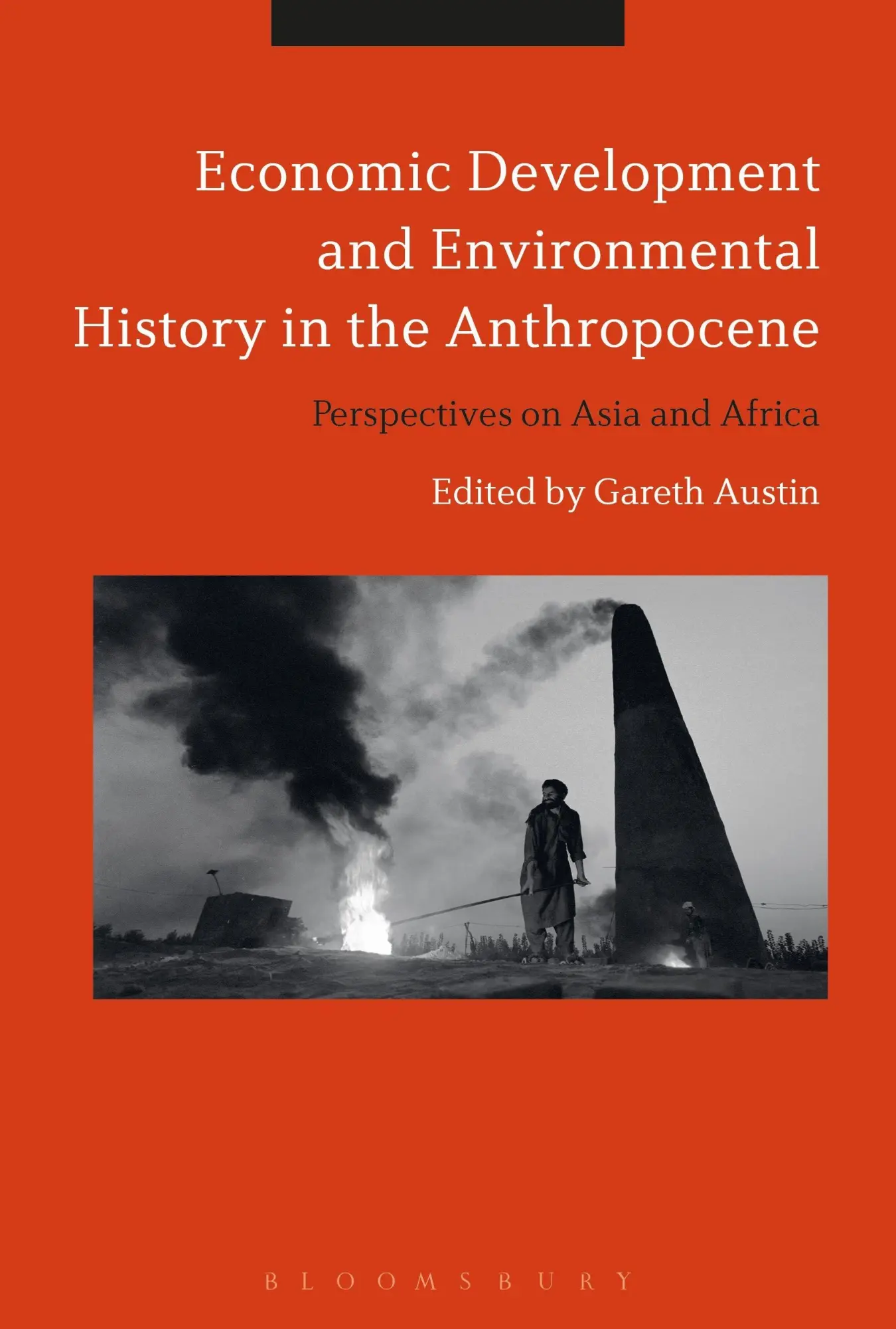 Cover: 9781350109261 | Economic Development and Environmental History in the Anthropocene