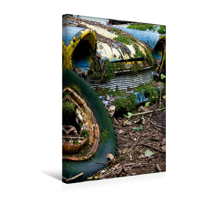 Premium Textil-Leinwand 30 cm x 45 cm hoch Zerfallende Schönheiten im Historischen Autofriedhof Gürbetal