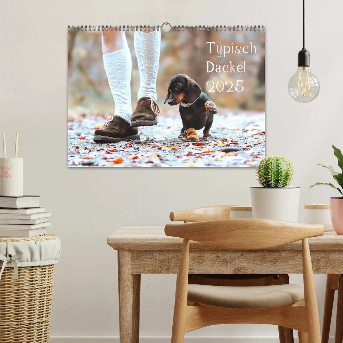 Bild: 9783435209361 | Typisch Dackel 2025 (Wandkalender 2025 DIN A3 quer), CALVENDO...
