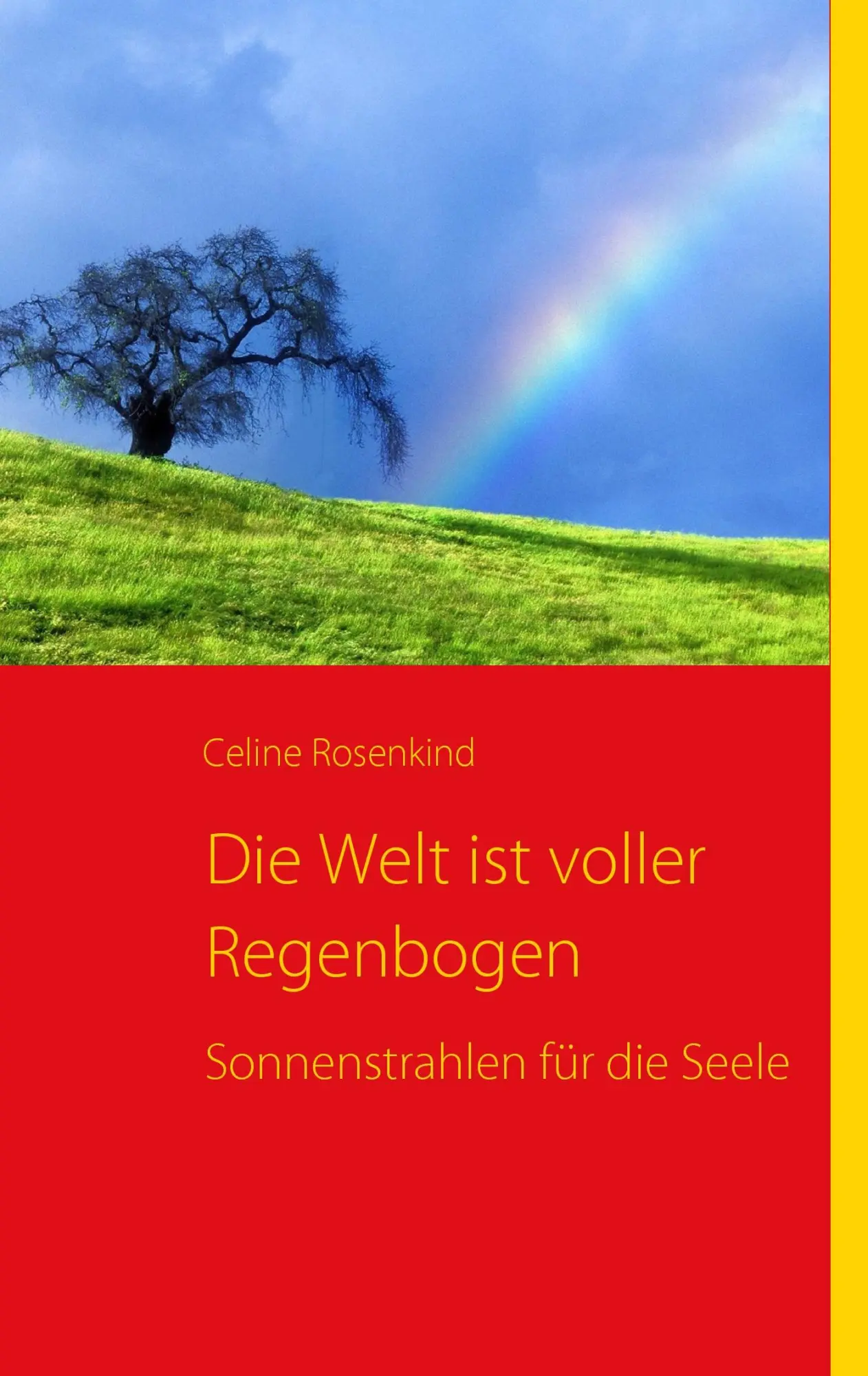 Cover: 9783837009361 | Die Welt ist voller Regenbogen | Sonnenstrahlen für die Seele | Buch