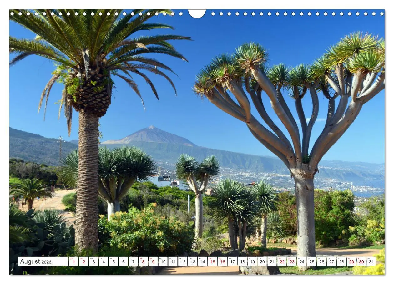 Bild: 9783457389461 | Teneriffa - Insel der Glückseligen (Wandkalender 2026 DIN A3 quer),...