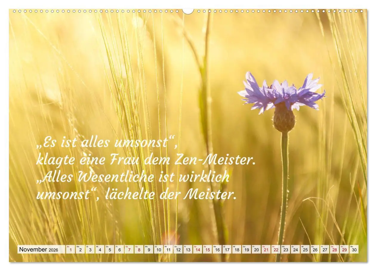 Bild: 9783457529461 | Und der Zen-Meister sprach (Wandkalender 2026 DIN A2 quer),...