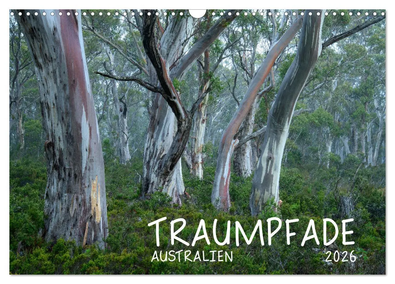 Cover: 9783457379561 | Traumpfade Australien (Wandkalender 2026 DIN A3 quer), CALVENDO...