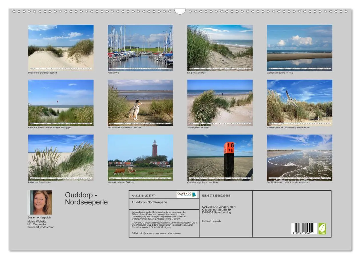 Bild: 9783516229561 | Ouddorp - Nordseeperle (Wandkalender 2026 DIN A2 quer), CALVENDO...
