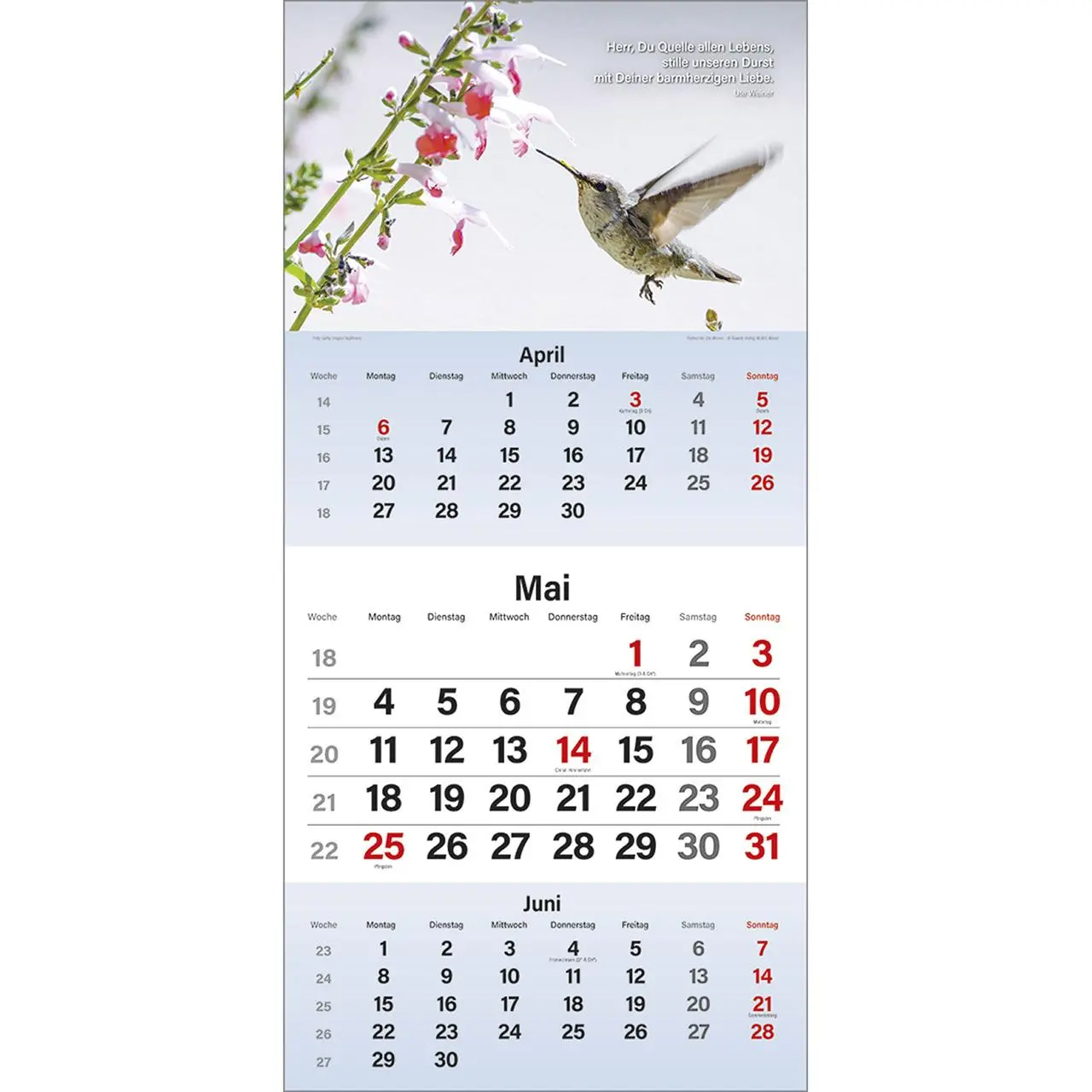 Bild: 9783754829561 | Gott segne meinen Tag 2026 | 3-Monats-Terminer | Kalender | 14 S.