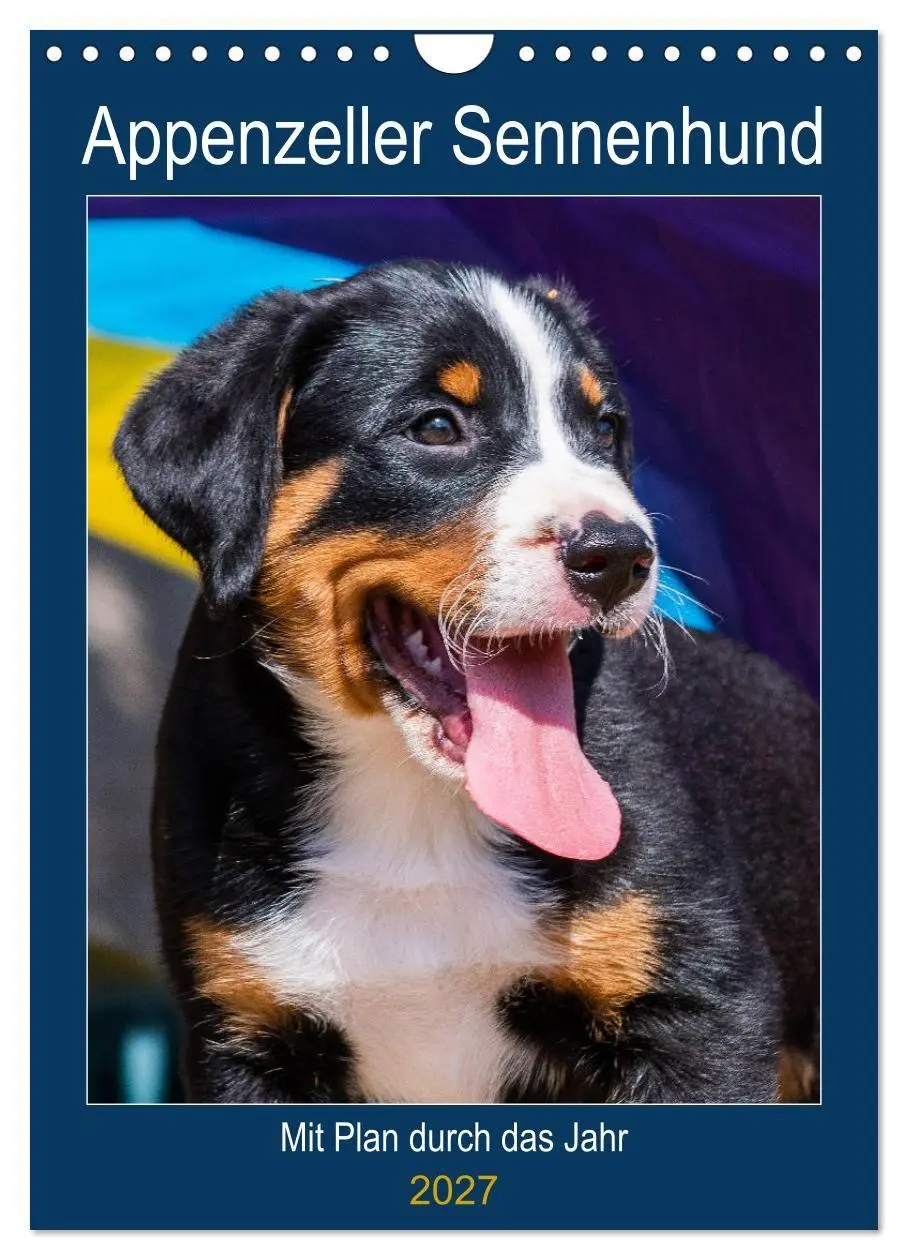 Cover: 9783569549661 | Appenzeller Sennenhund - Mit Plan durch das Jahr (Wandkalender 2027...