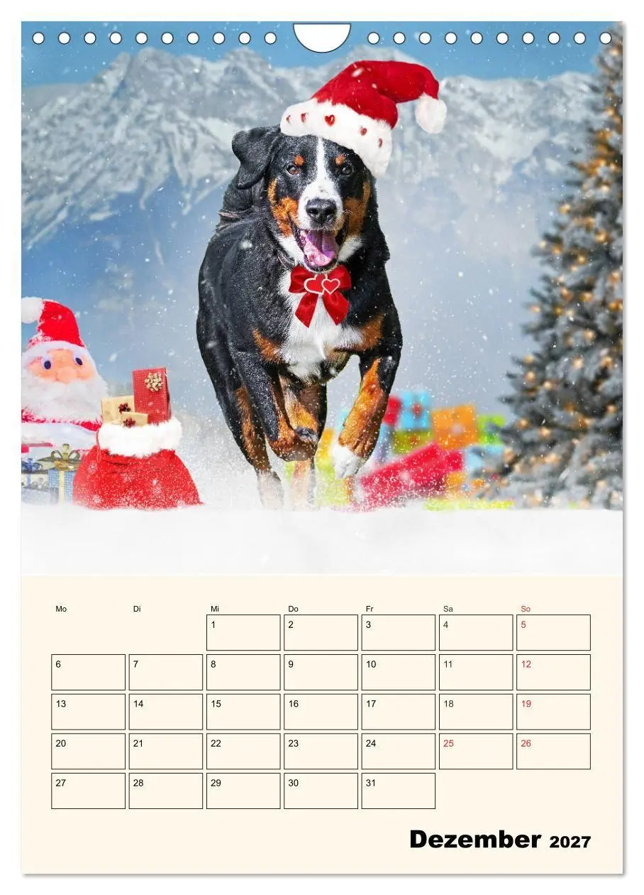 Bild: 9783569549661 | Appenzeller Sennenhund - Mit Plan durch das Jahr (Wandkalender 2027...