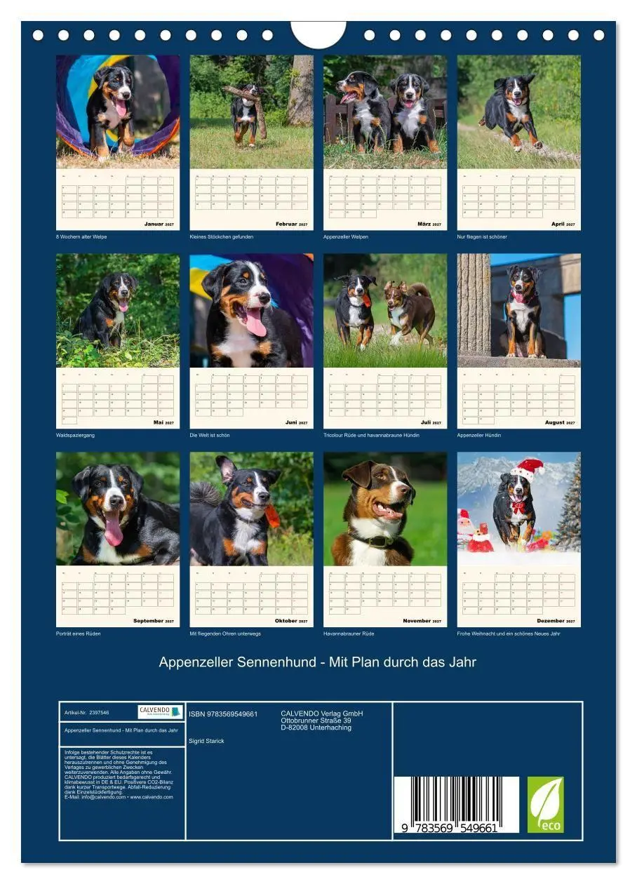Bild: 9783569549661 | Appenzeller Sennenhund - Mit Plan durch das Jahr (Wandkalender 2027...