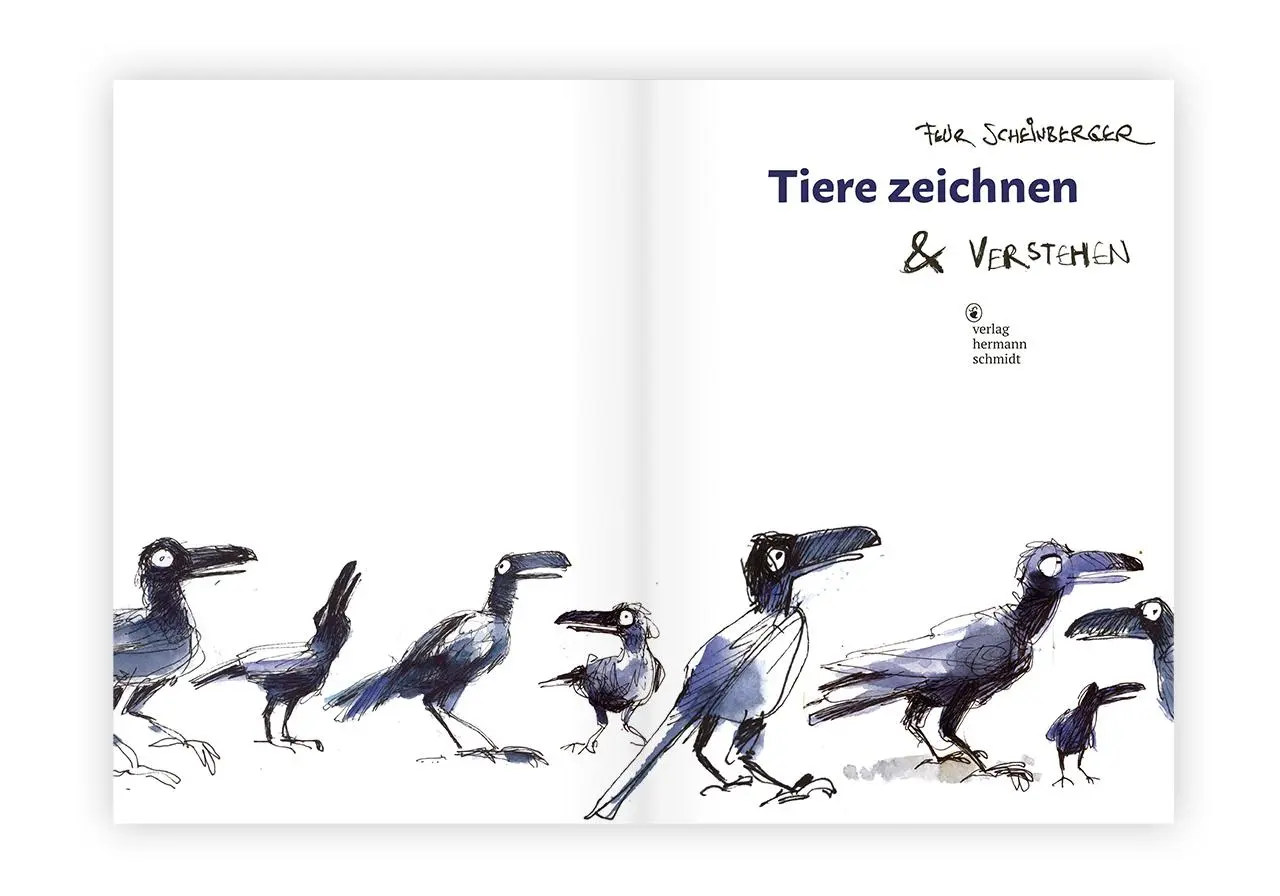 Bild: 9783874399661 | Tiere zeichnen und verstehen | Felix Scheinberger | Buch | 168 S.