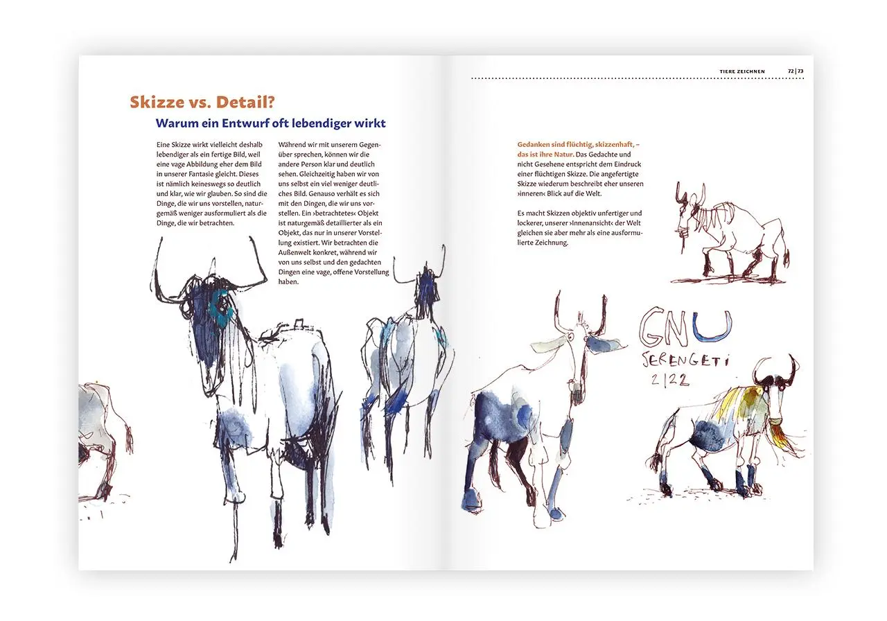 Bild: 9783874399661 | Tiere zeichnen und verstehen | Felix Scheinberger | Buch | 168 S.