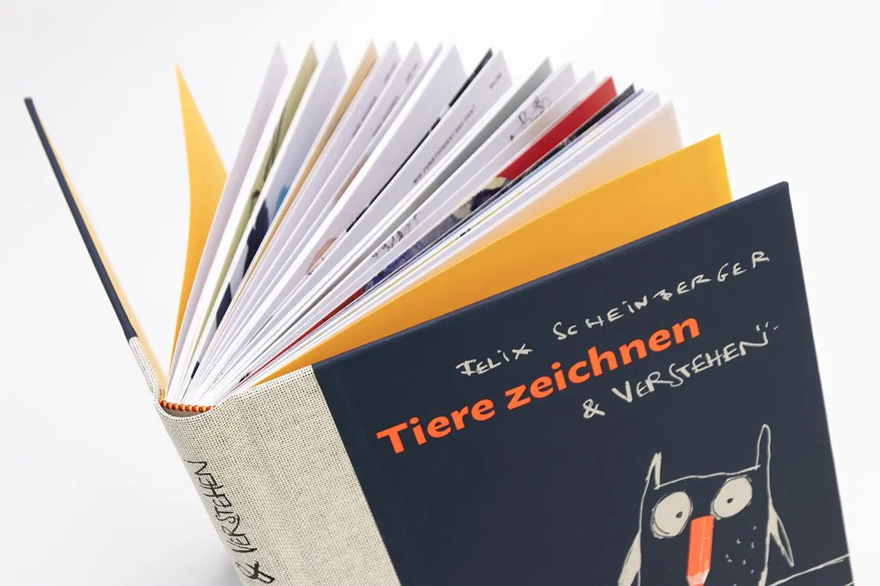 Bild: 9783874399661 | Tiere zeichnen und verstehen | Felix Scheinberger | Buch | 168 S.