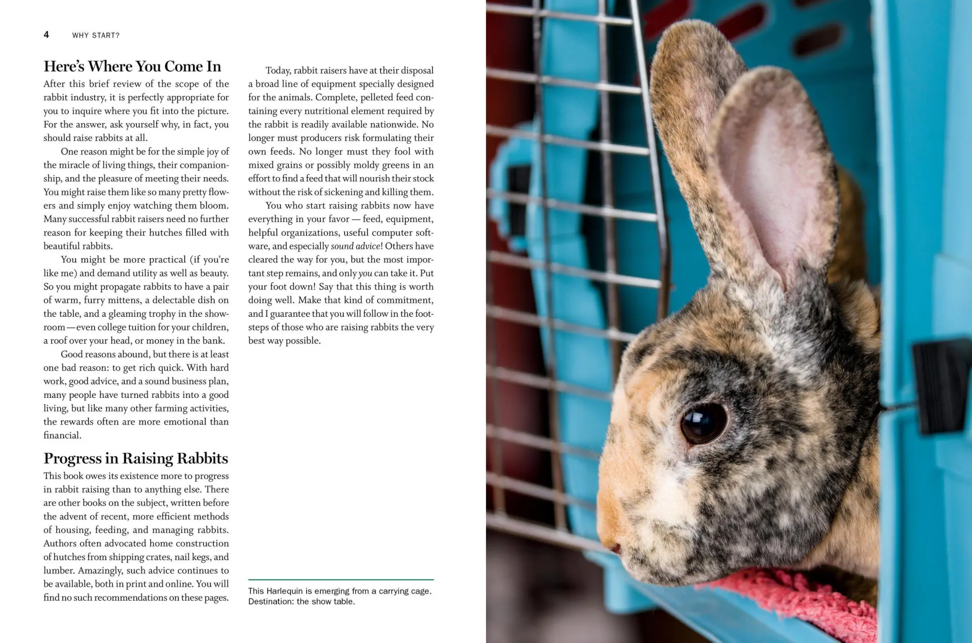 Bild: 9781612129761 | Storey's Guide to Raising Rabbits, 5th Edition | Breeds, Care, Housing