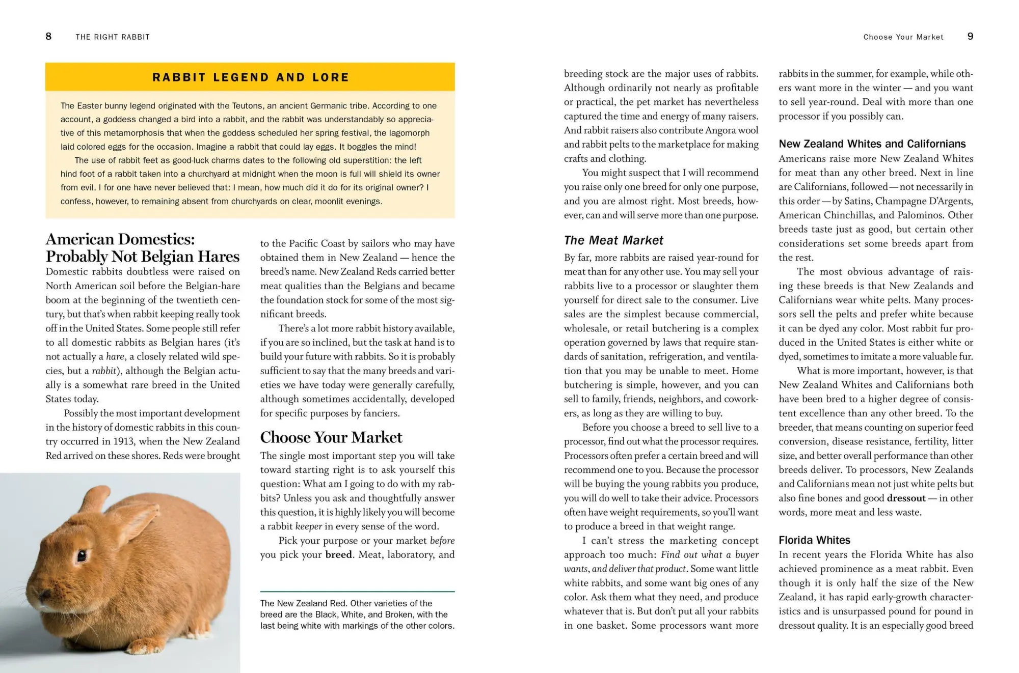 Bild: 9781612129761 | Storey's Guide to Raising Rabbits, 5th Edition | Breeds, Care, Housing