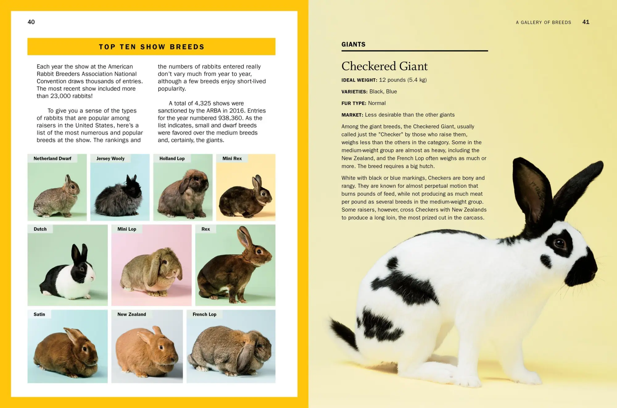 Bild: 9781612129761 | Storey's Guide to Raising Rabbits, 5th Edition | Breeds, Care, Housing